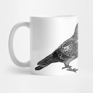 Pigeon in black Mug